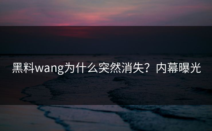 黑料wang为什么突然消失？内幕曝光