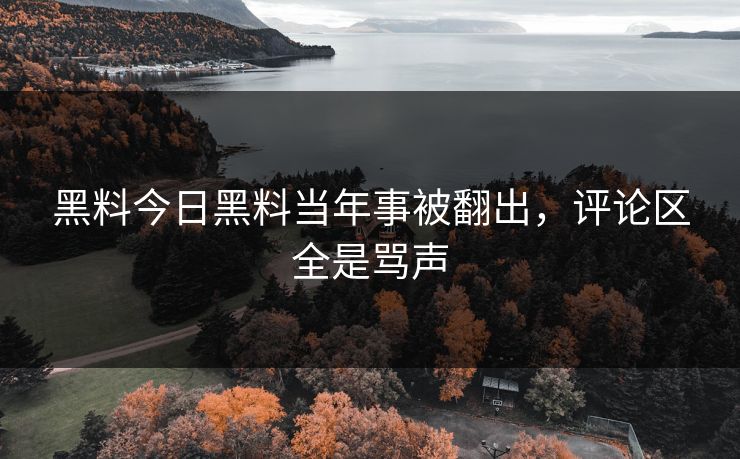 黑料今日黑料当年事被翻出，评论区全是骂声