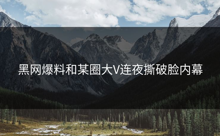 黑网爆料和某圈大V连夜撕破脸内幕