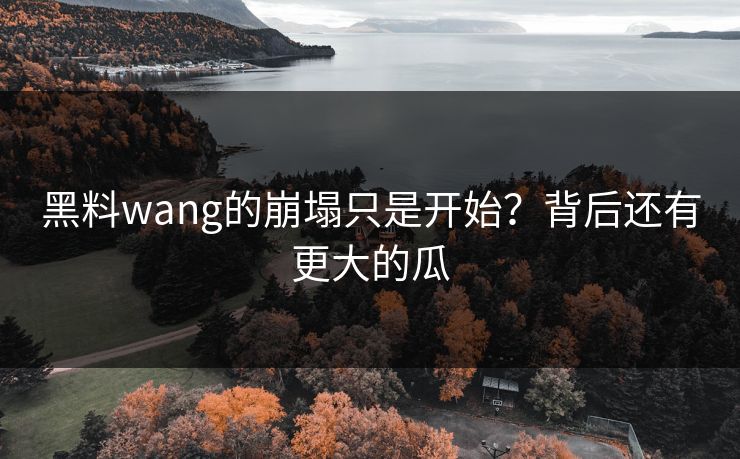 黑料wang的崩塌只是开始？背后还有更大的瓜