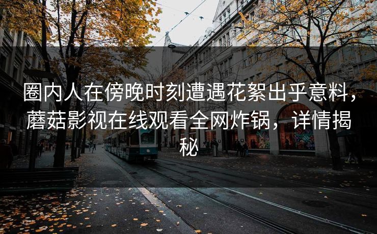 圈内人在傍晚时刻遭遇花絮出乎意料，蘑菇影视在线观看全网炸锅，详情揭秘