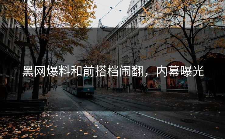 黑网爆料和前搭档闹翻，内幕曝光