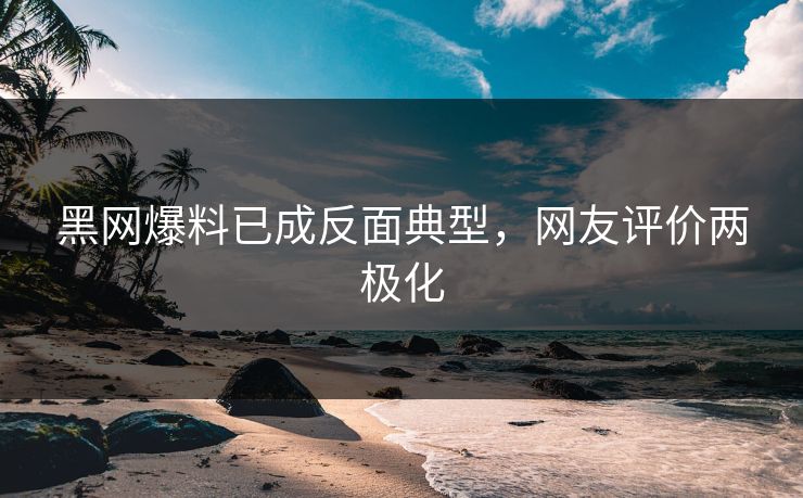 黑网爆料已成反面典型，网友评价两极化