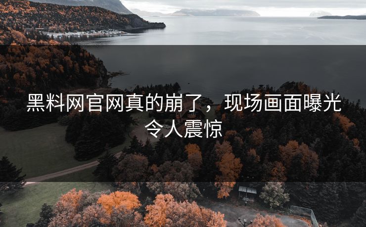 黑料网官网真的崩了，现场画面曝光令人震惊