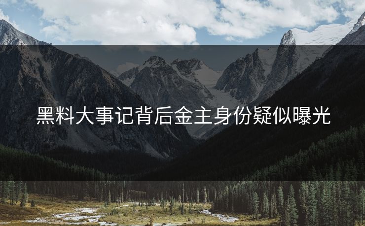 黑料大事记背后金主身份疑似曝光