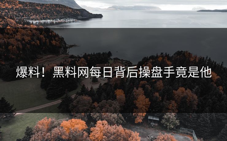 爆料！黑料网每日背后操盘手竟是他