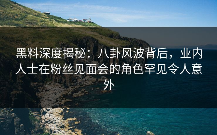 黑料深度揭秘：八卦风波背后，业内人士在粉丝见面会的角色罕见令人意外
